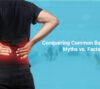 conquering common back pain myths vs facts