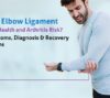 elbow ligament