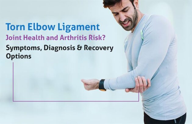 elbow ligament