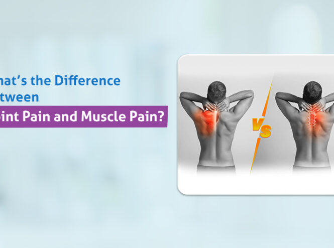 Joint Pain vs Muscle Pain Treatment